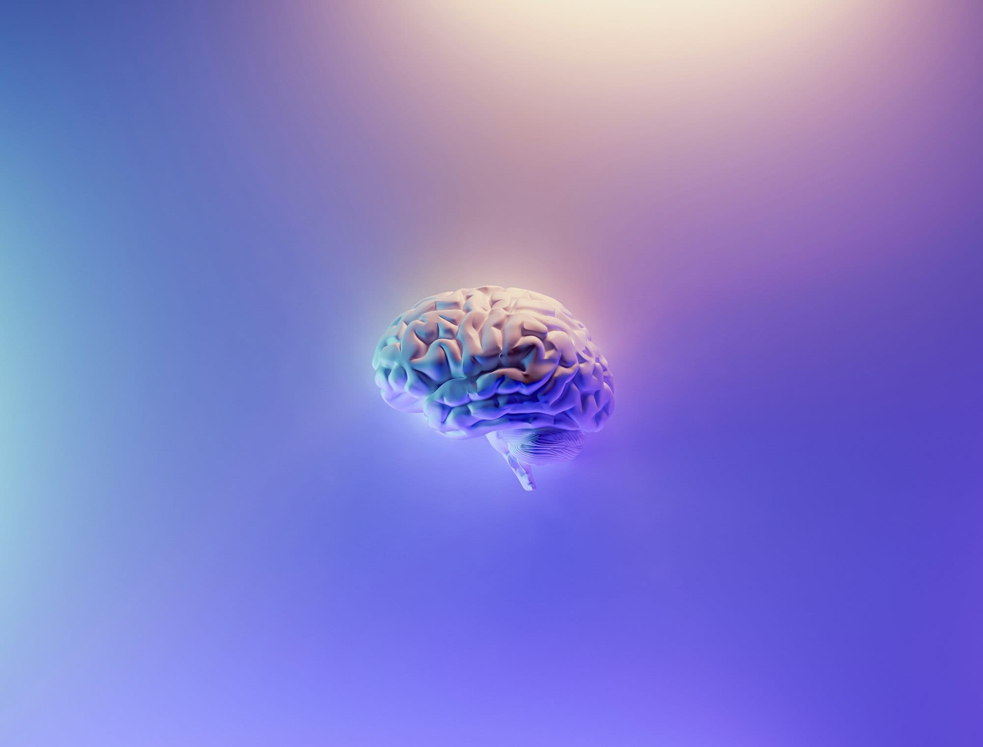 Personal Knowledge Management: Building Your AI-Supported Second Brain