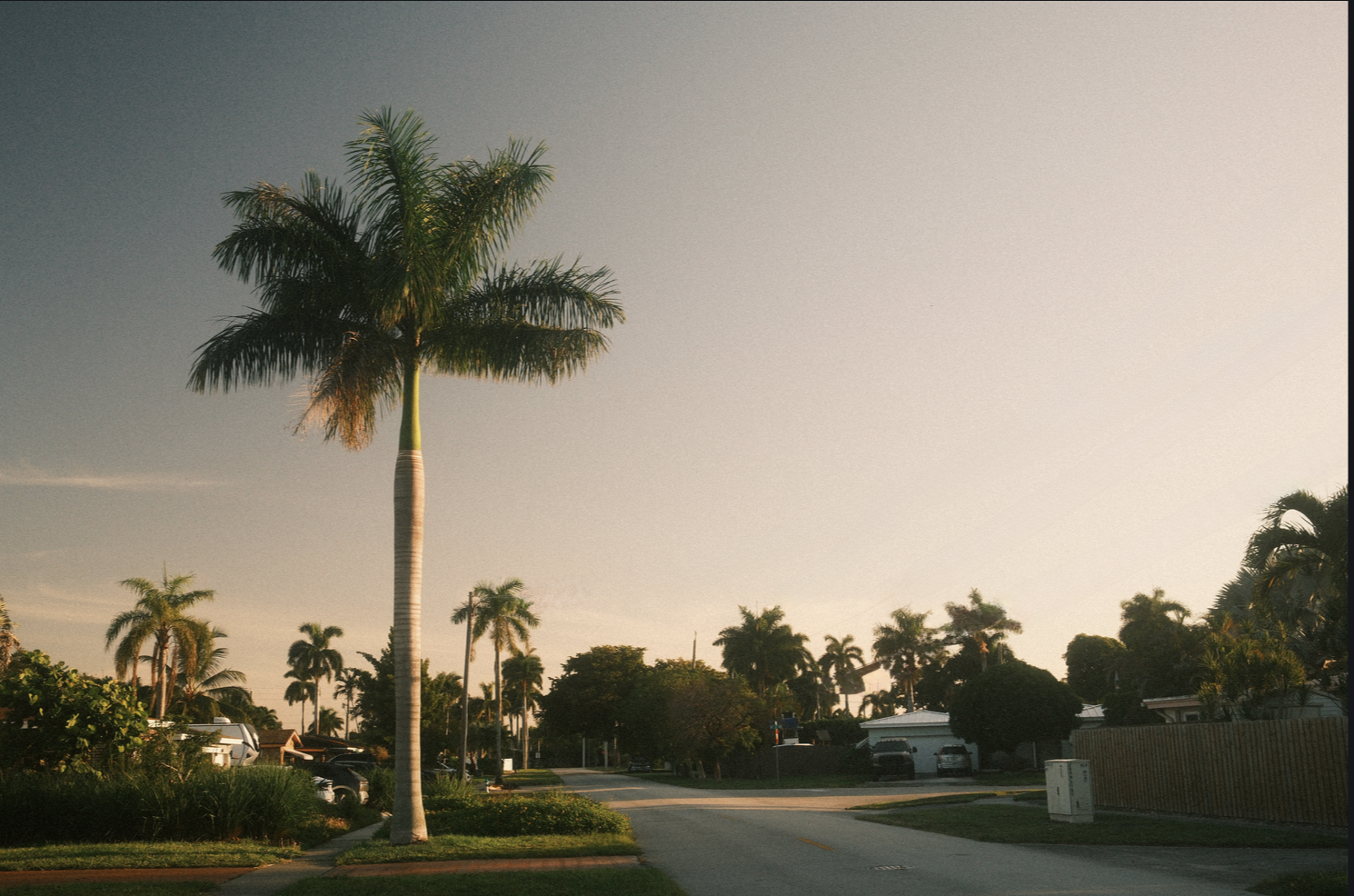 South Florida Morning