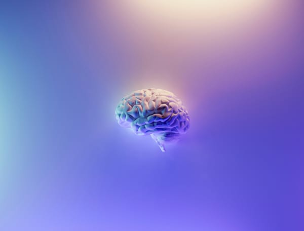 Personal Knowledge Management: Building Your AI-Supported Second Brain