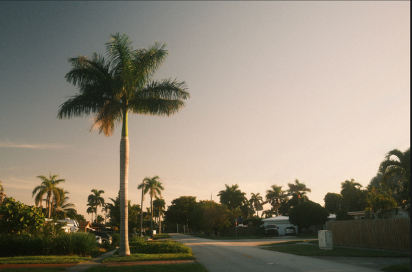 South Florida Morning